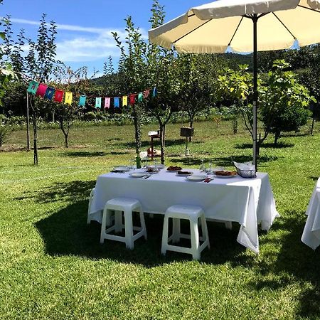 Casa Dos Avos Βίλα Póvoa de Lanhoso Εξωτερικό φωτογραφία