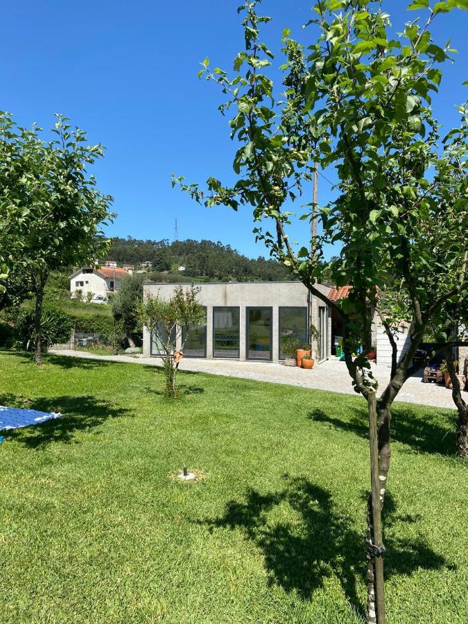 Casa Dos Avos Βίλα Póvoa de Lanhoso Εξωτερικό φωτογραφία