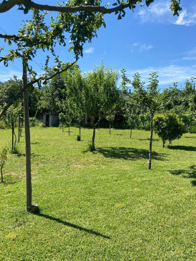 Casa Dos Avos Βίλα Póvoa de Lanhoso Εξωτερικό φωτογραφία